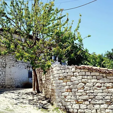 Vasili *