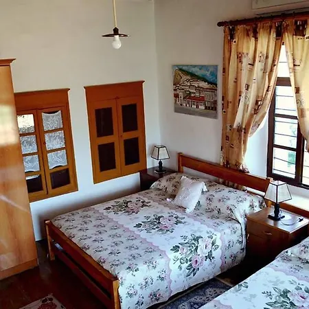 Guest house Vasili